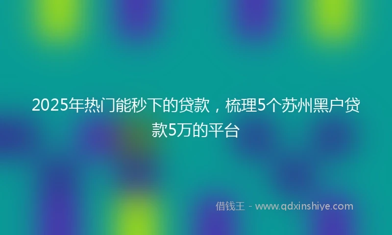 2025年热门能秒下的贷款，梳理5个苏州黑户贷款5万的平台