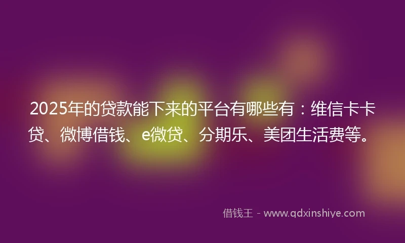 2025年的贷款能下来的平台有哪些有：维信卡卡贷、微博借钱、e微贷、分期乐、美团生活费等。