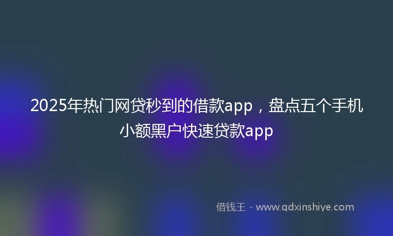 2025年热门网贷秒到的借款app，盘点五个手机小额黑户快速贷款app
