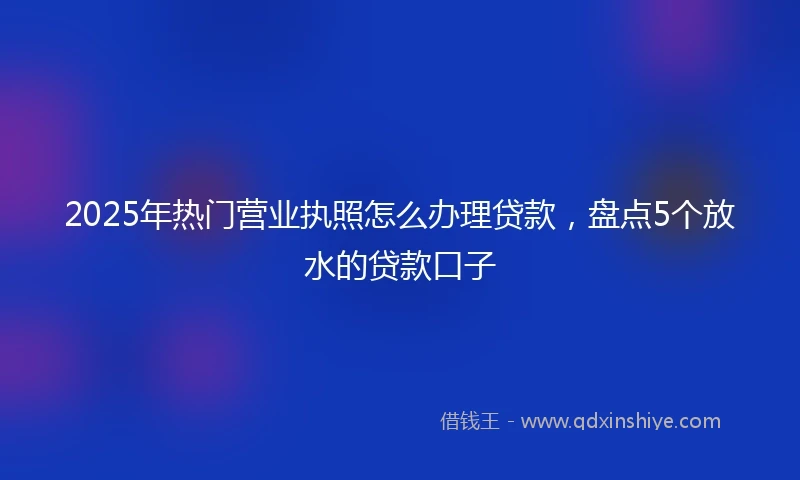 2025年热门营业执照怎么办理贷款，盘点5个放水的贷款口子