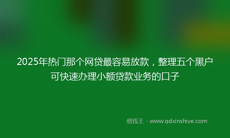 2025年热门那个网贷最容易放款，整理五个黑户可快速办理小额贷款业务的口子