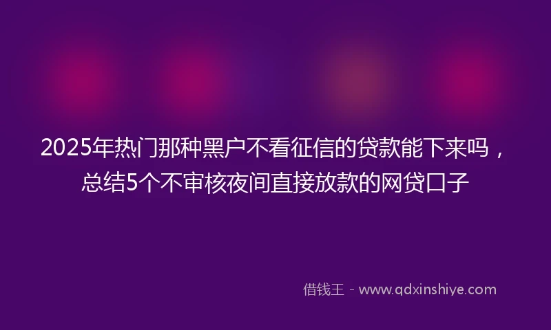 2025年热门那种黑户不看征信的贷款能下来吗，总结5个不审核夜间直接放款的网贷口子