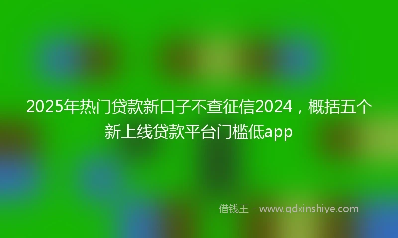 2025年热门贷款新口子不查征信2024，概括五个新上线贷款平台门槛低app