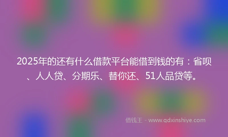 2025年的还有什么借款平台能借到钱的有：省呗、人人贷、分期乐、替你还、51人品贷等。