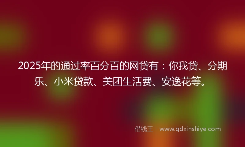 2025年的通过率百分百的网贷有：你我贷、分期乐、小米贷款、美团生活费、安逸花等。