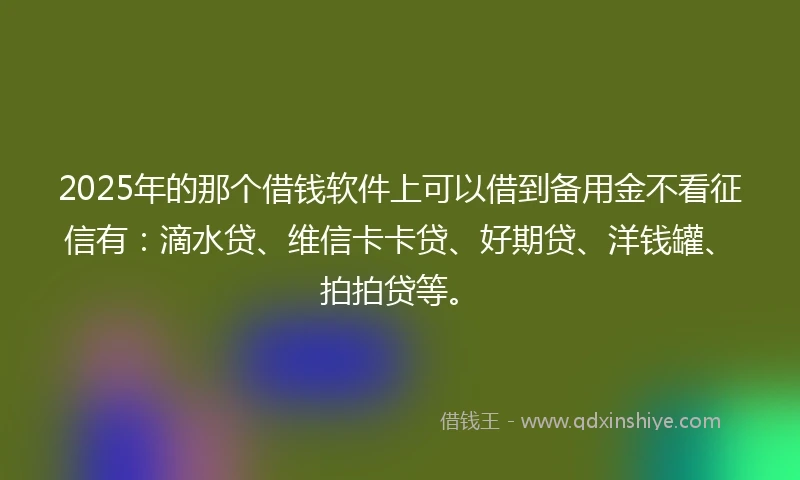 2025年的那个借钱软件上可以借到备用金不看征信有：滴水贷、维信卡卡贷、好期贷、洋钱罐、拍拍贷等。