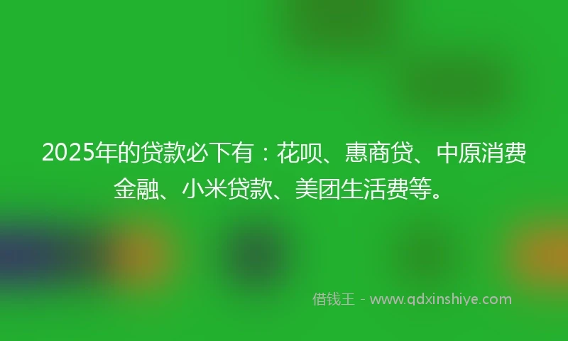 2025年的贷款必下有：花呗、惠商贷、中原消费金融、小米贷款、美团生活费等。