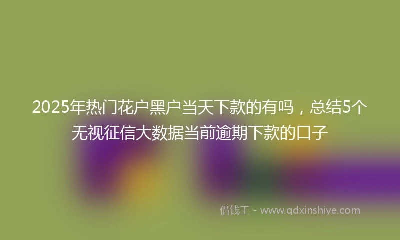 2025年热门花户黑户当天下款的有吗，总结5个无视征信大数据当前逾期下款的口子