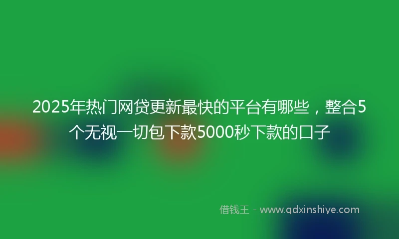 2025年热门网贷更新最快的平台有哪些，整合5个无视一切包下款5000秒下款的口子
