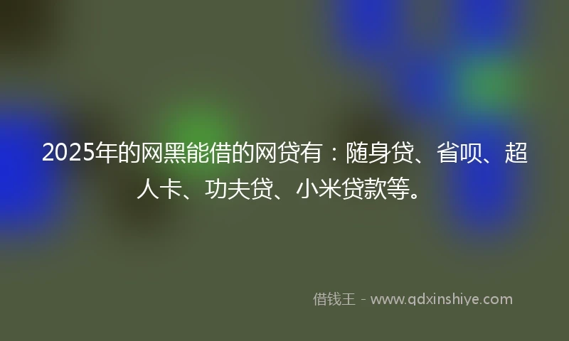 2025年的网黑能借的网贷有：随身贷、省呗、超人卡、功夫贷、小米贷款等。