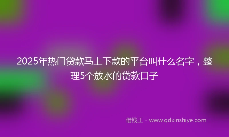 2025年热门贷款马上下款的平台叫什么名字，整理5个放水的贷款口子