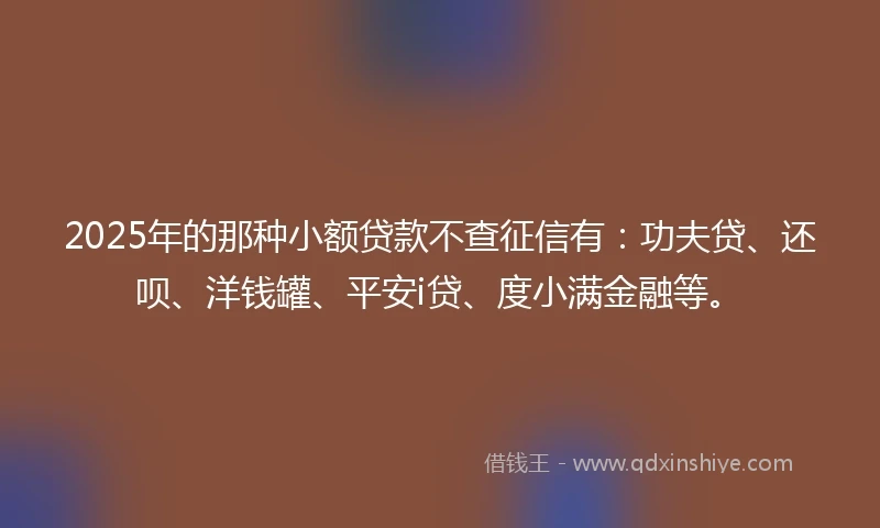 2025年的那种小额贷款不查征信有：功夫贷、还呗、洋钱罐、平安i贷、度小满金融等。