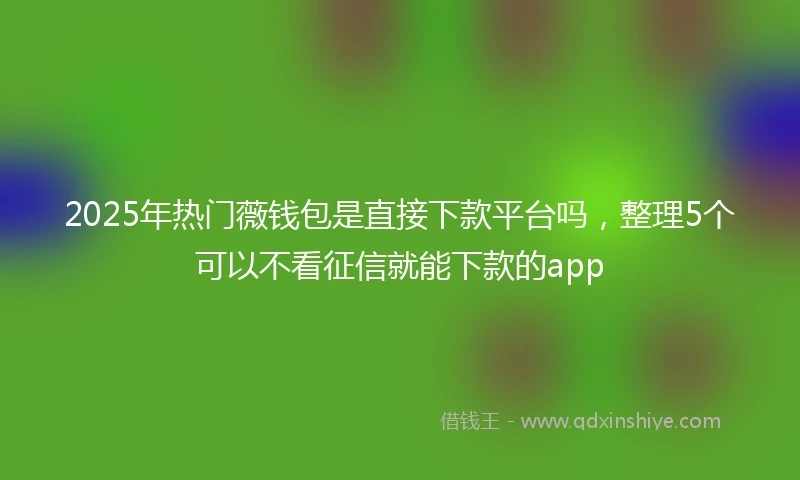 2025年热门薇钱包是直接下款平台吗，整理5个可以不看征信就能下款的app