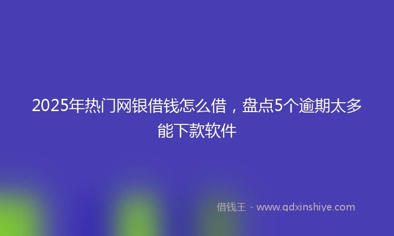 2025年热门网银借钱怎么借，盘点5个逾期太多能下款软件