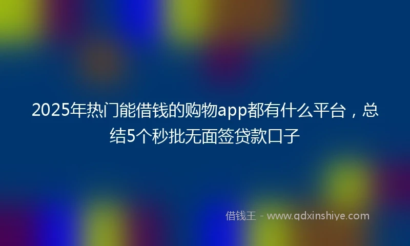 2025年热门能借钱的购物app都有什么平台，总结5个秒批无面签贷款口子