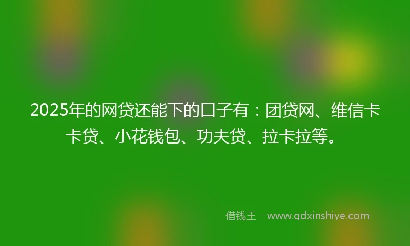 2025年的网贷还能下的口子有：团贷网、维信卡卡贷、小花钱包、功夫贷、拉卡拉等。