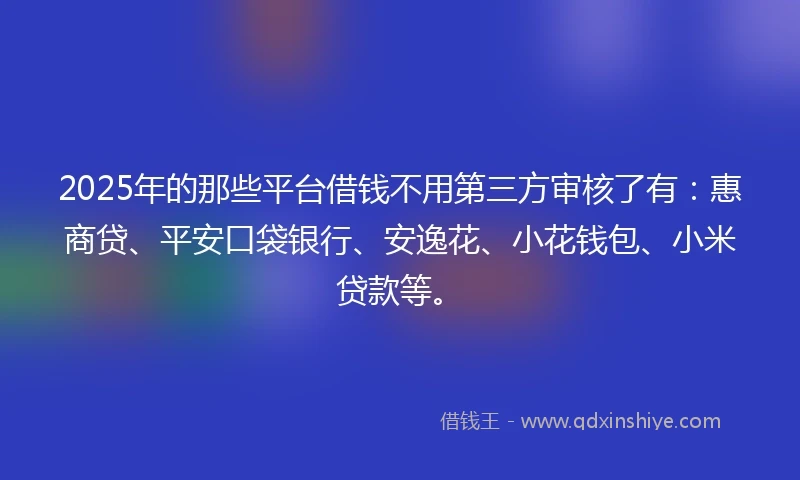 2025年的那些平台借钱不用第三方审核了有：惠商贷、平安口袋银行、安逸花、小花钱包、小米贷款等。