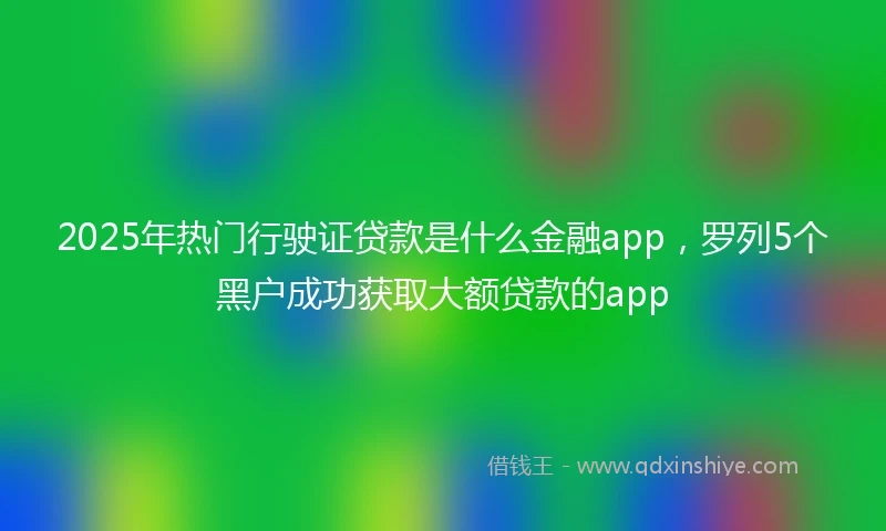 2025年热门行驶证贷款是什么金融app，罗列5个黑户成功获取大额贷款的app