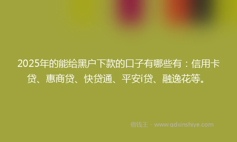 2025年的能给黑户下款的口子有哪些有：信用卡贷、惠商贷、快贷通、平安i贷、融逸花等。
