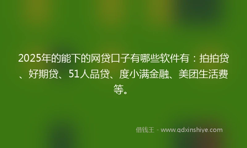 2025年的能下的网贷口子有哪些软件有：拍拍贷、好期贷、51人品贷、度小满金融、美团生活费等。