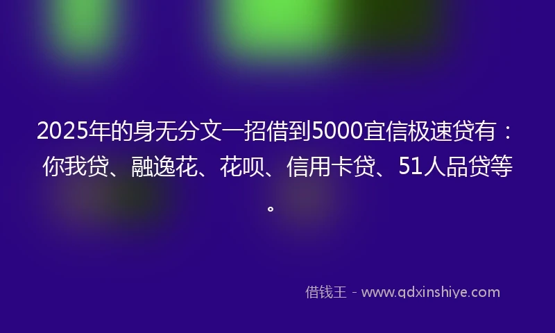 2025年的身无分文一招借到5000宜信极速贷有：你我贷、融逸花、花呗、信用卡贷、51人品贷等。