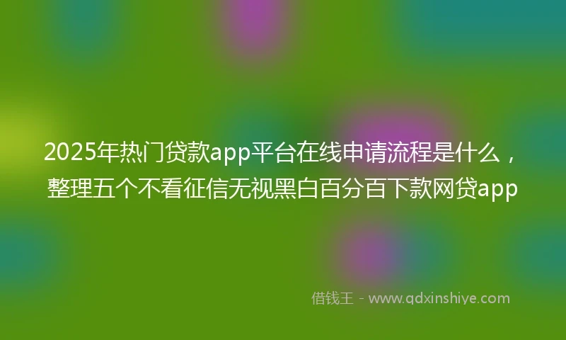 2025年热门贷款app平台在线申请流程是什么，整理五个不看征信无视黑白百分百下款网贷app