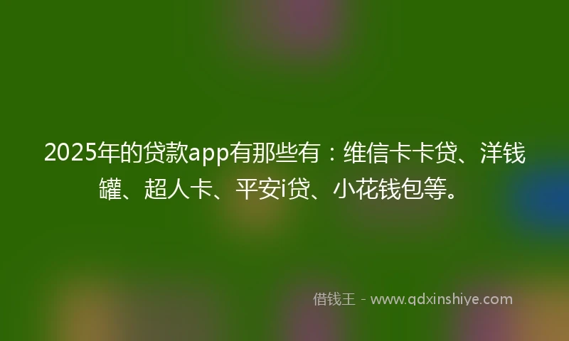 2025年的贷款app有那些有：维信卡卡贷、洋钱罐、超人卡、平安i贷、小花钱包等。