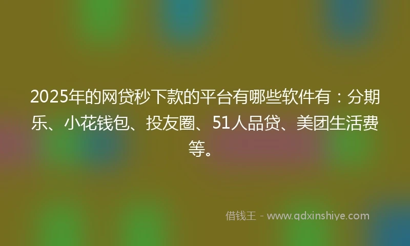 2025年的网贷秒下款的平台有哪些软件有：分期乐、小花钱包、投友圈、51人品贷、美团生活费等。