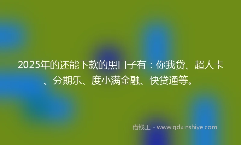 2025年的还能下款的黑口子有：你我贷、超人卡、分期乐、度小满金融、快贷通等。