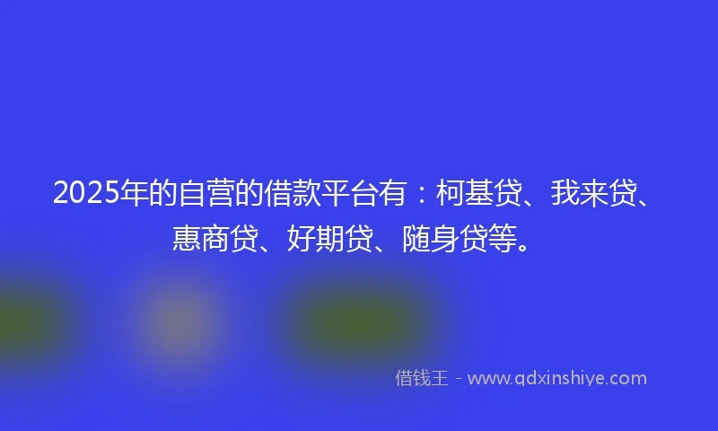 2025年的自营的借款平台有：柯基贷、我来贷、惠商贷、好期贷、随身贷等。