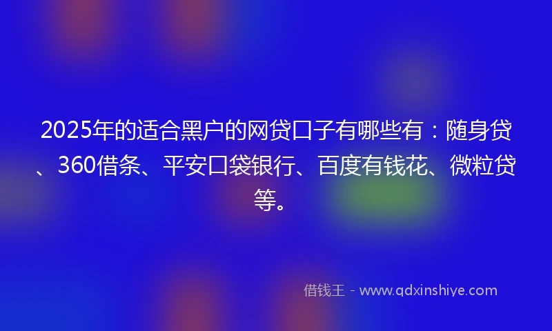 2025年的适合黑户的网贷口子有哪些有：随身贷、360借条、平安口袋银行、百度有钱花、微粒贷等。