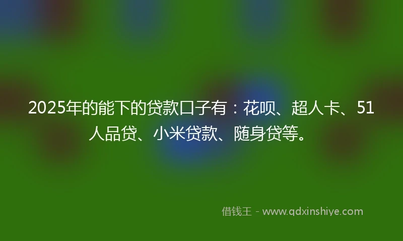 2025年的能下的贷款口子有：花呗、超人卡、51人品贷、小米贷款、随身贷等。