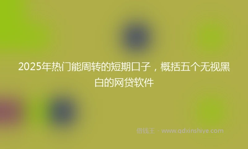 2025年热门能周转的短期口子，概括五个无视黑白的网贷软件