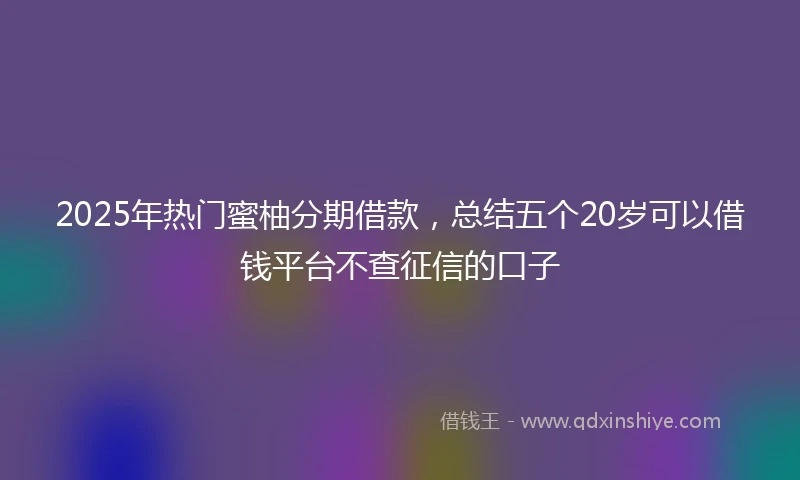 2025年热门蜜柚分期借款，总结五个20岁可以借钱平台不查征信的口子