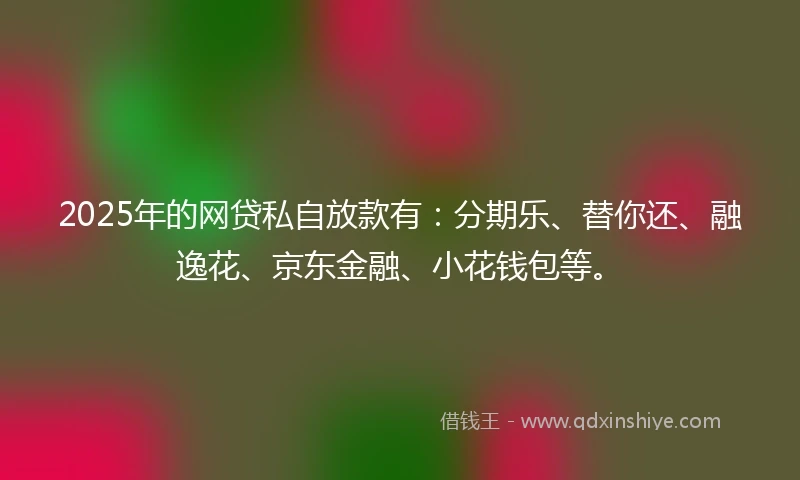 2025年的网贷私自放款有：分期乐、替你还、融逸花、京东金融、小花钱包等。