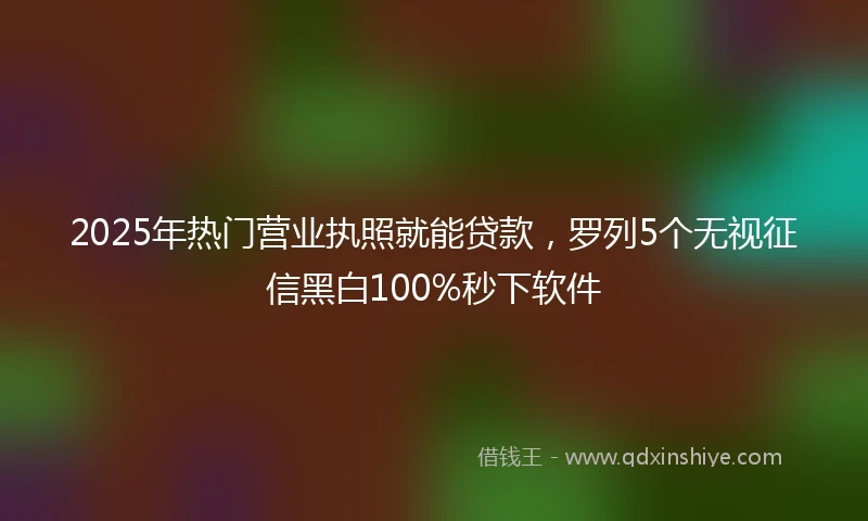 2025年热门营业执照就能贷款，罗列5个无视征信黑白100%秒下软件