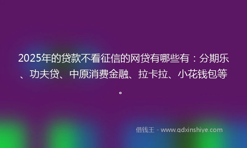 2025年的贷款不看征信的网贷有哪些有：分期乐、功夫贷、中原消费金融、拉卡拉、小花钱包等。