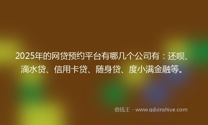 2025年的网贷预约平台有哪几个公司有：还呗、滴水贷、信用卡贷、随身贷、度小满金融等。