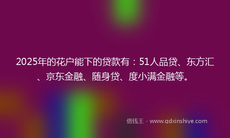 2025年的花户能下的贷款有：51人品贷、东方汇、京东金融、随身贷、度小满金融等。