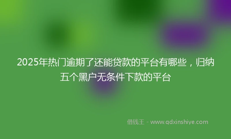 2025年热门逾期了还能贷款的平台有哪些，归纳五个黑户无条件下款的平台