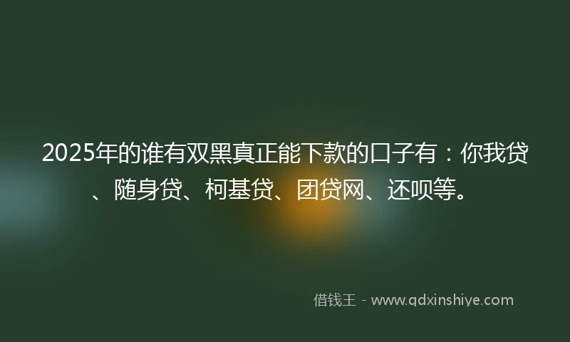 2025年的谁有双黑真正能下款的口子有：你我贷、随身贷、柯基贷、团贷网、还呗等。