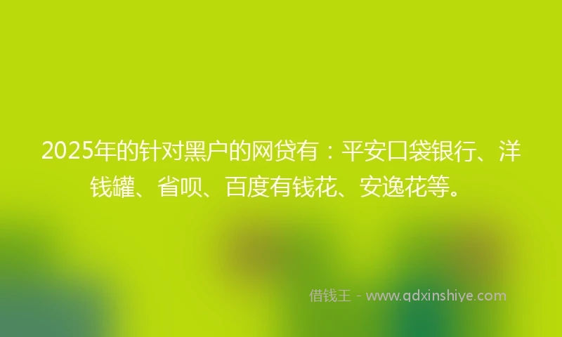 2025年的针对黑户的网贷有：平安口袋银行、洋钱罐、省呗、百度有钱花、安逸花等。