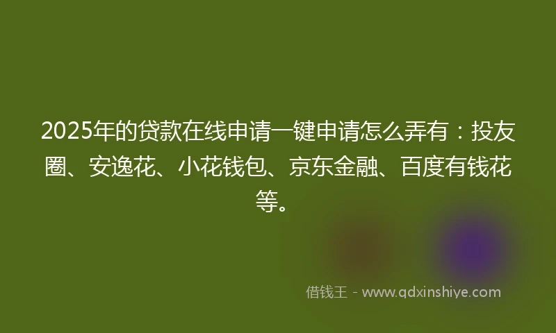 2025年的贷款在线申请一键申请怎么弄有：投友圈、安逸花、小花钱包、京东金融、百度有钱花等。