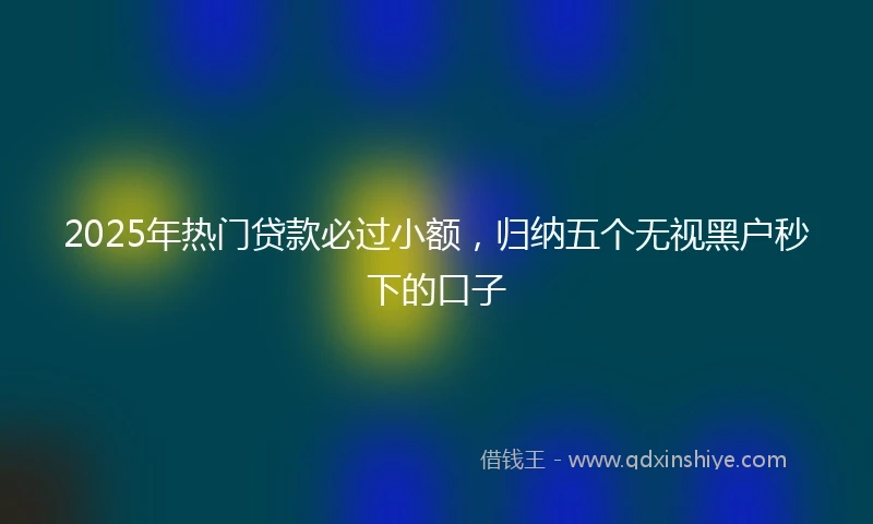 2025年热门贷款必过小额，归纳五个无视黑户秒下的口子