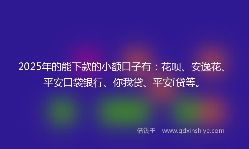 2025年的能下款的小额口子有：花呗、安逸花、平安口袋银行、你我贷、平安i贷等。