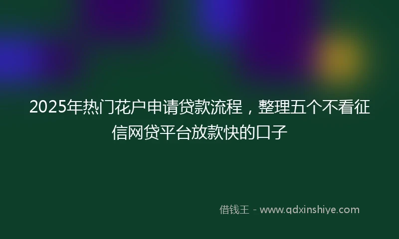 2025年热门花户申请贷款流程，整理五个不看征信网贷平台放款快的口子
