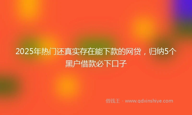 2025年热门还真实存在能下款的网贷，归纳5个黑户借款必下口子
