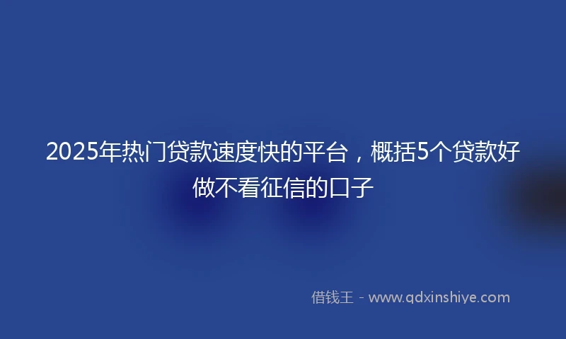 2025年热门贷款速度快的平台，概括5个贷款好做不看征信的口子