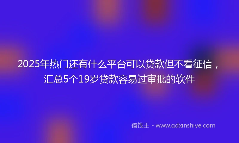 2025年热门还有什么平台可以贷款但不看征信，汇总5个19岁贷款容易过审批的软件
