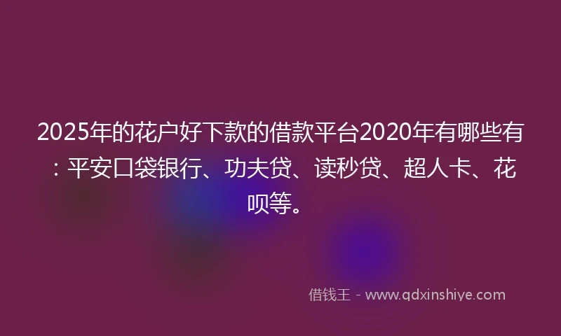 2025年的花户好下款的借款平台2020年有哪些有：平安口袋银行、功夫贷、读秒贷、超人卡、花呗等。